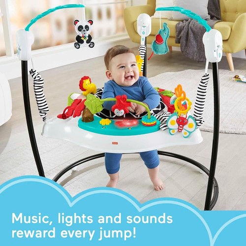 Fisher price fwy41 animal - fisher-price,