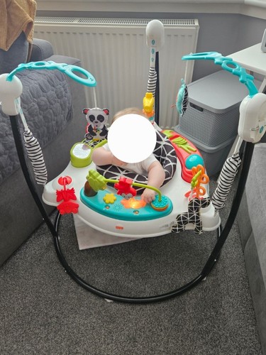 Fisher price jumperoo - fisher-price,