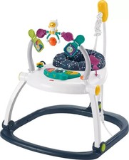 Fisher-Price Baby Bouncer