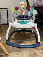 Fisher-Price Baby Bouncer