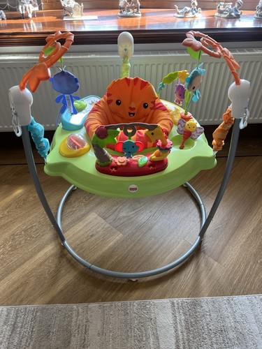 Fisher price jumperoo - fisher-price,