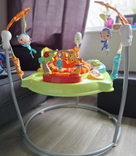 Fisher Price Roarin'