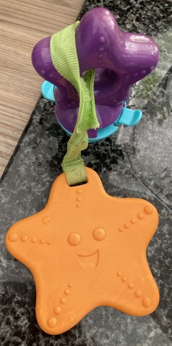 Bright starts fining - starts, nemo