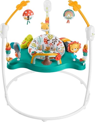 Fisher price baby bouncer - baby,