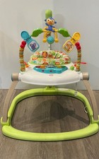 Fisher-Price Baby Bouncer