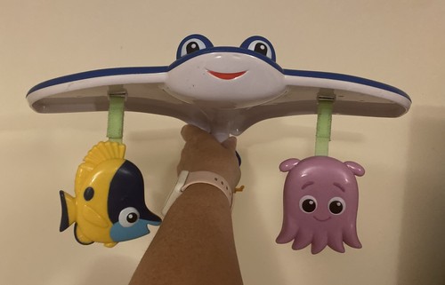 Bright starts finding - finding, nemo