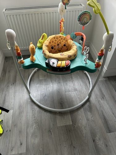 Fisher price jumperoo - fisher-price,
